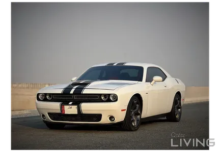 Dodge Challenger R/T 2019